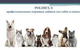 Витамины Polidex для собак