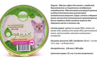 Обзор кома Organix для кошек: состав, виды, цена и отзывы