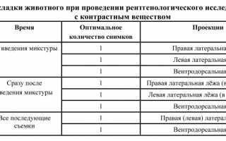 Рентген собаке. Показания для исследования. Цены