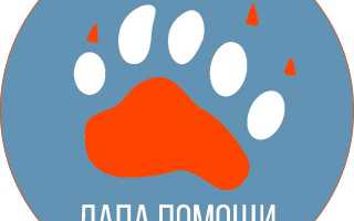 6 лучших хондропротекторов для собак: для собак крупных пород, лекарства для суставов