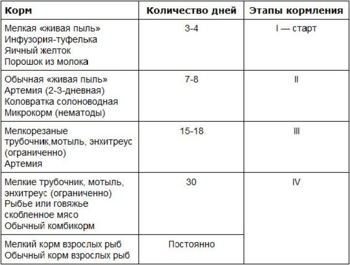 чем кормить мальков