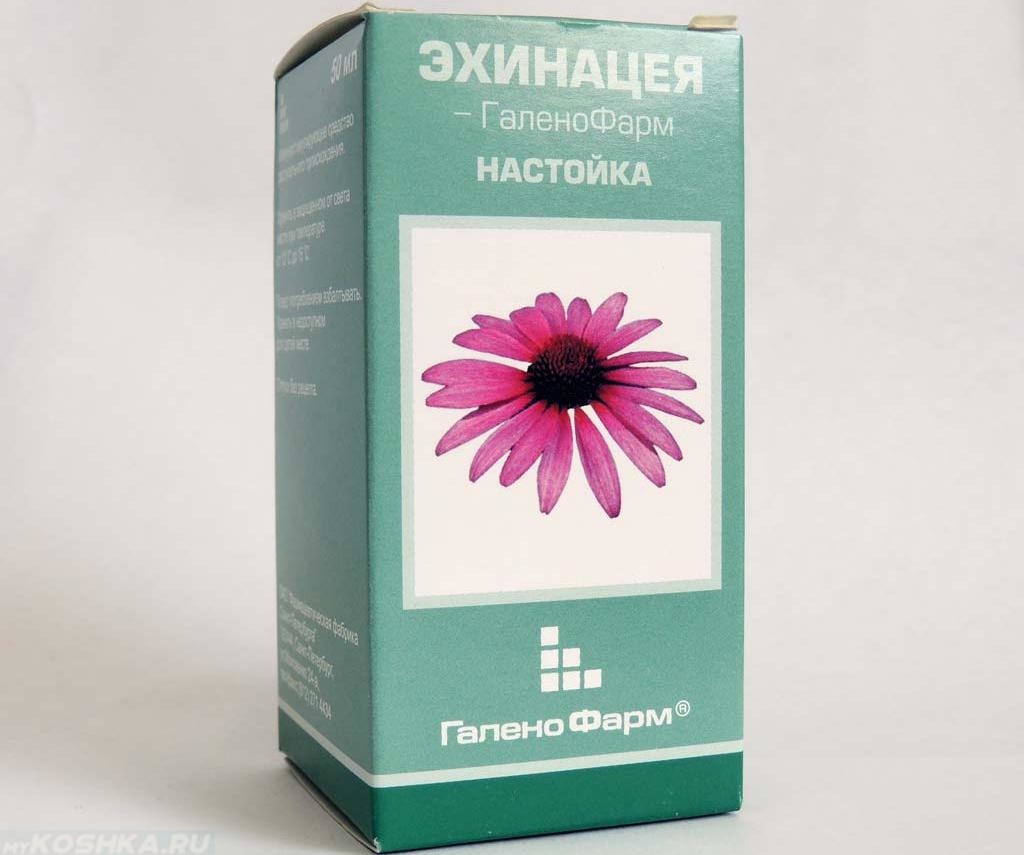 Настойка эхинацея в упаковке