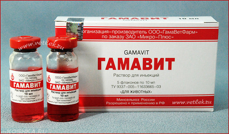 Лекарство для кошки гамавит