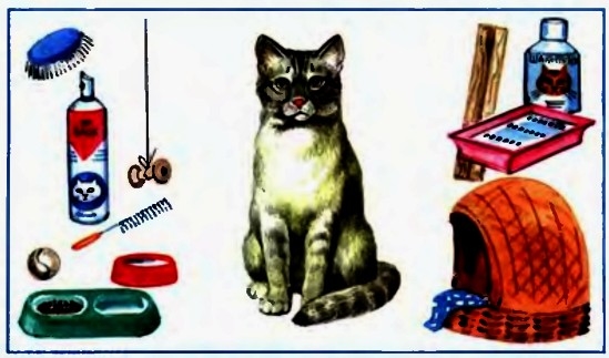 Перечень необходимого инвентаря для содержания кошек