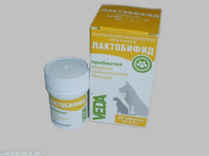 Пробиотик лактобифид для нормализации микрофлоры кишечника