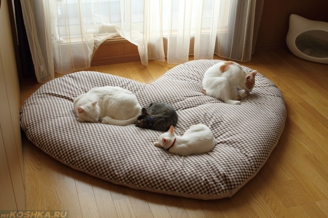 Тёплая подстилка для кошек