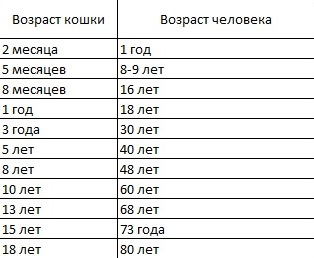 Таблица возраста